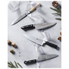 Birchwood SG2, 8-inch, Chef's Knife, small 13