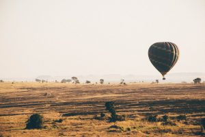 Read more about the article How do you get to the Serengeti?